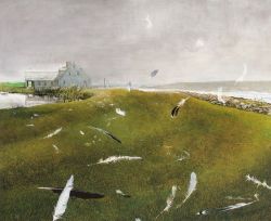 Peinture sur toile de Andrew Wyeth Airborne - 1979 reproduction peinte à la main