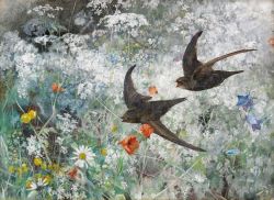 Peinture sur toile de Bruno Liljefors Common Swifts 1886 reproduction peinte à la main
