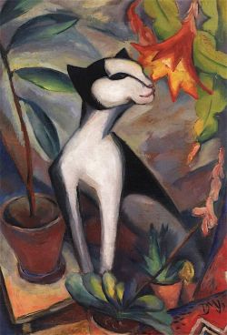 Peinture sur toile de Dorothea Maetzel-johannsen Kat And Cactus Flower 1921 reproduction peinte à la main