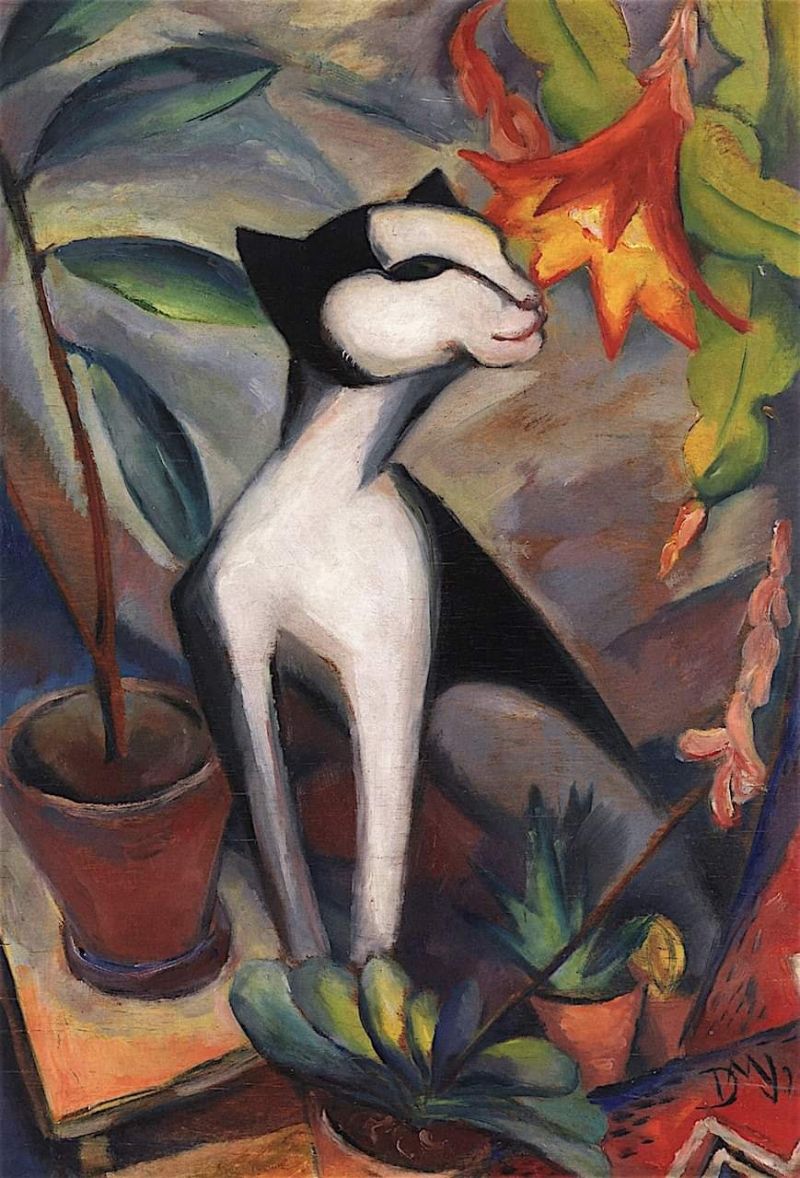 Dorothea Maetzel-johannsen Kat And Cactus Flower 1921