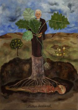 Frida Kahlo, Portrait de Luther Burbank reproduction peinte à la main