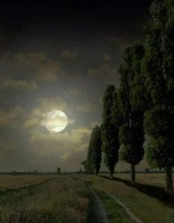 Gennadiy Dneprov Moon Night reproduction peinte à la main