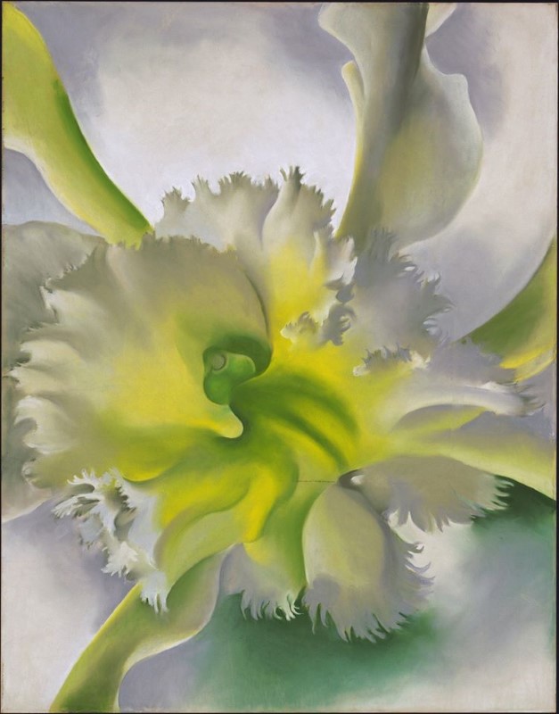 Georgia O Keeffe, An Orchid 1941