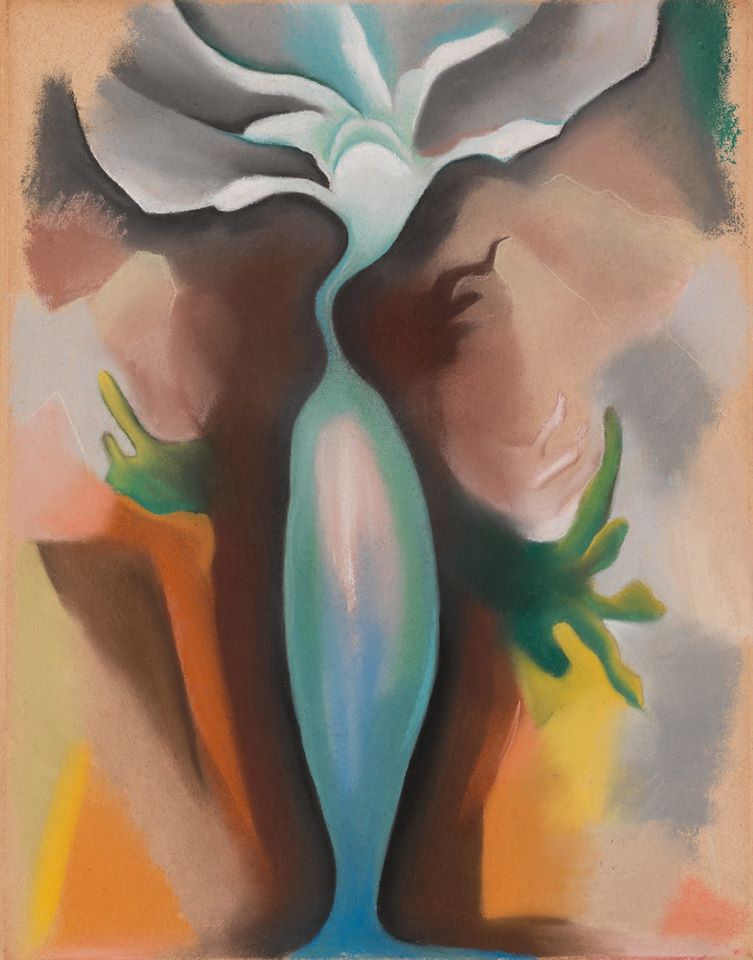 Georgia O Keeffe Flowering Plant C. 1920