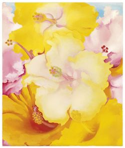 Georgia O Keeffe Hibiscus reproduction peinte à la main