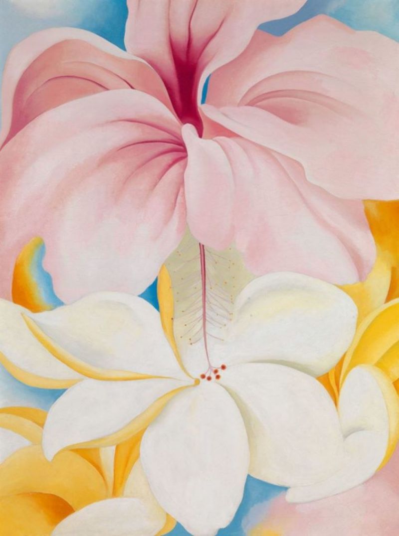 Georgia O Keeffe Hibiscus With Plumeria 1939