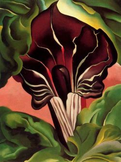 Georgia O Keeffe Jack-in-the-pulpit Ii 1930 reproduction peinte à la main