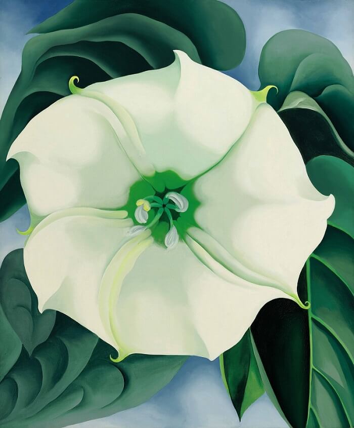 Georgia O Keeffe Jimson Weed - White Flowr Number 1