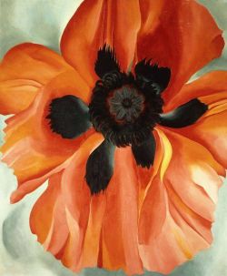 Georgia O Keeffe Red Poppy No. Vi 1928 reproduction peinte à la main
