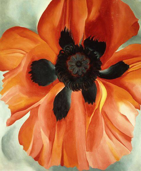 Georgia O Keeffe Red Poppy No. Vi 1928