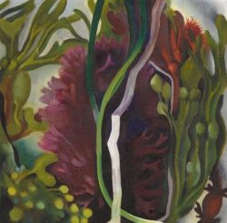 Georgia O Keeffe Seaweed 1923 reproduction peinte à la main