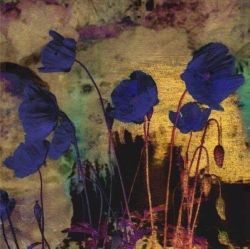 Iskra Johnson, Blue Poppies For Redon reproduction peinte à la main