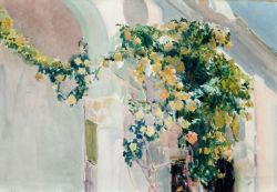 Peinture sur toile de Joaquin Sorolla, A Rose Bush At Sorolla's House 1918-19 reproduction peinte à la main