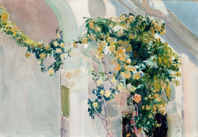 Joaquin Sorolla, A Rose Bush At Sorolla's House 1918-19