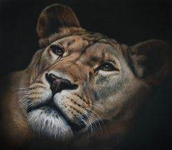 Lioness reproduction peinte à la main