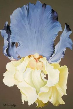 Lowell Nesbitt Yellow And Blue Iris 1973 reproduction peinte à la main