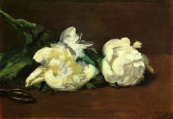 Manet, Nature Morte Avec Pivoines Blanches reproduction peinte à la main