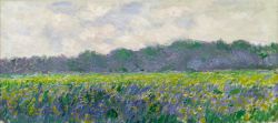 Peinture sur toile de Monet Champ D Iris Jaunes reproduction peinte à la main
