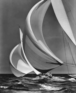 Morris Rosenfeld The Flying Spinnakers 1938 reproduction peinte à la main
