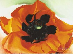 O'Keeffe, Coquelicot 4 reproduction peinte à la main
