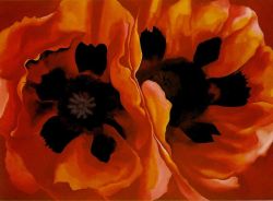 O'Keeffe, Coquelicots orientaux reproduction peinte à la main