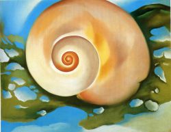 O'Keeffe, Coquillage rose avec algues reproduction peinte à la main