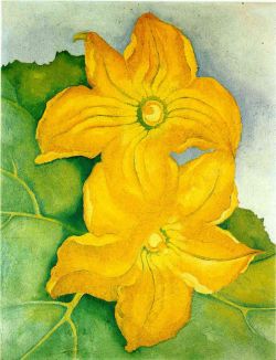 O'Keeffe, Fleurs de courge 1 reproduction peinte à la main
