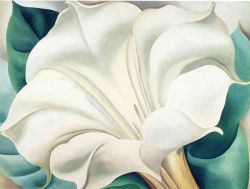 O'Keeffe, Herbe de Jimson 2 reproduction peinte à la main