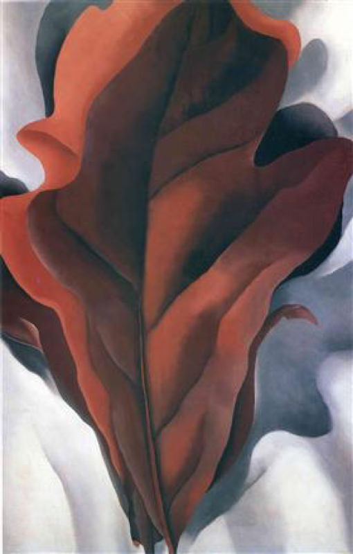 O'Keeffe, Large feuille rouge et noire sur du blanc