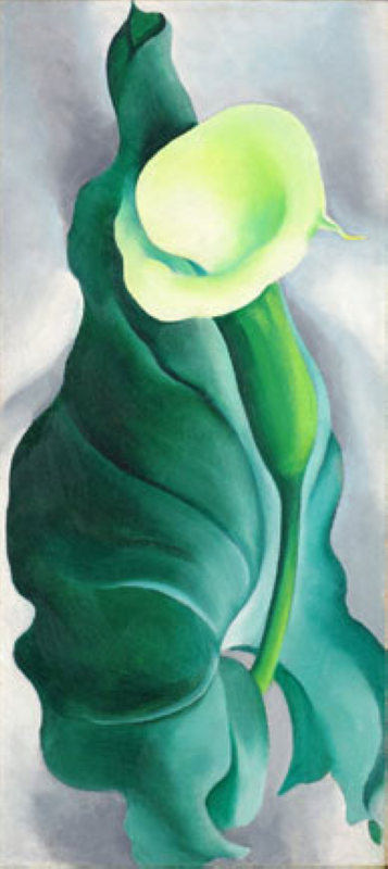 O'Keeffe, Lys Calla (Lys - Jaune No. 2) - 1927