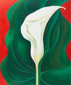 O'Keeffe, Lys Calla simple sur rouge reproduction peinte à la main