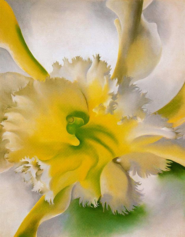 O'Keeffe, Une orchidée - 1941