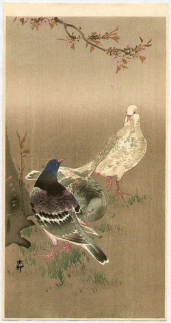 Ohara Koson Pigeons Under Cherry Tree reproduction peinte à la main