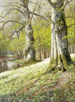 Peder Mork Monsted Anemones 1901 reproduction peinte à la main