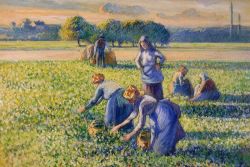Peinture sur toile de Pissarro, La Cueillette des pois reproduction peinte à la main