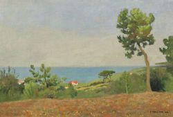 Vallotton Felix Paysage Maritime 1904 reproduction peinte à la main