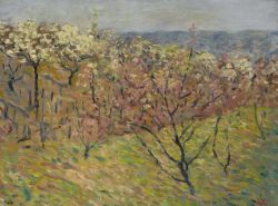 Peinture sur toile de Valtat Louis Les Arbres En Fleurs Ca. 1895 reproduction peinte à la main