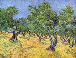 Peinture sur toile de Van Gogh, Oliviers 2 reproduction peinte à la main