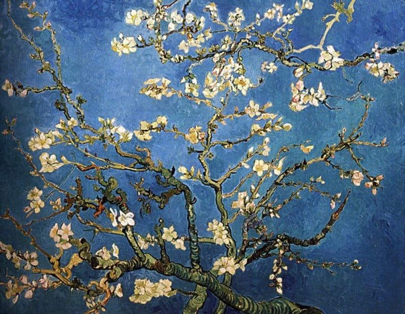 Vincent Van Gogh Amandier En Fleurs - Bleu Marine