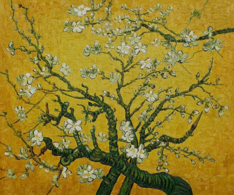 Vincent Van Gogh Amandier En Fleurs - Jaune Et Ocre