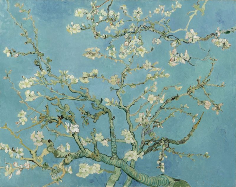 Vincent Van Gogh Amandier En Fleurs - Original