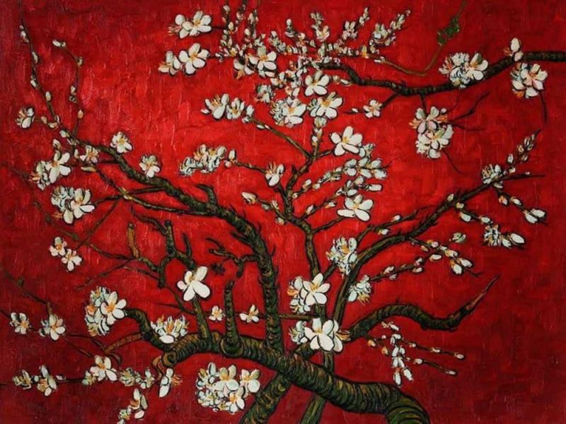 Vincent Van Gogh Amandier En Fleurs - Rouge