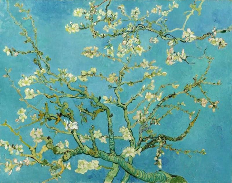 Vincent Van Gogh Amandier En Fleurs - Turquoise