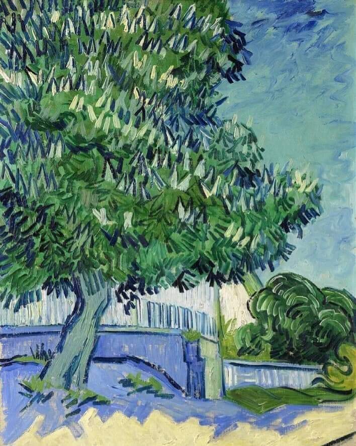 Vincent Van Gogh Blossoming Chestnut Trees May 1890
