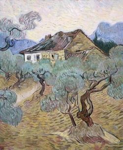 Peinture sur toile de Vincent Van Gogh Farmhouse Among Olive Trees 1889 reproduction peinte à la main