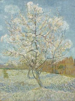 Peinture sur toile de Vincent van Gogh, Le Pécher rose en fleurs reproduction peinte à la main