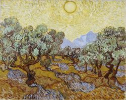 Peinture sur toile de Vincent van Gogh, Les oliviers - 1889 reproduction peinte à la main