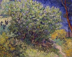 Peinture sur toile de Vincent Van Gogh, Lilac Bush 1889 reproduction peinte à la main