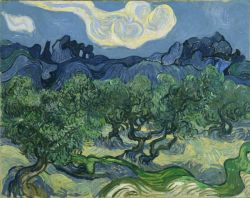 Peinture sur toile de Vincent van Gogh, Oliviers reproduction peinte à la main
