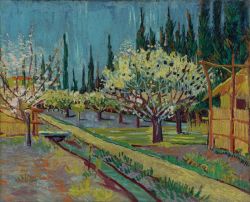 Peinture sur toile de Vincent Van Gogh Orchard Bordered By Cypresses 1888 reproduction peinte à la main
